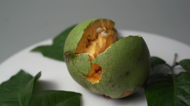 Bael Fruit &ndash; Aegle Marmelos, Traditional Indian Wood Apple Fruit with Hard Shell, Aromatic Pulp, Natural Nutrition and Ayurvedic Heritage