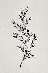 Obraz premium Monochrome illustration of a delicate leafy branch on a plain background.