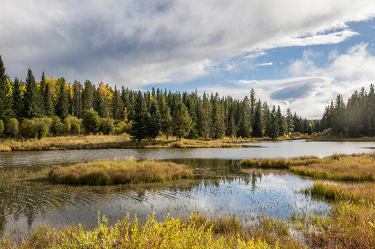 Alberta Canada wetland McLean pond and fall landscape with evergreen pine forest and dramatic clouds