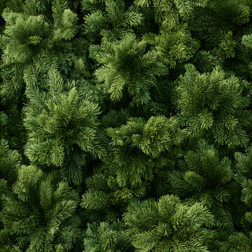 Textured Spruce Needle Clusters Seamless Pattern
