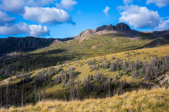 View of San Luis Peak rising above the golden alpine meadows and rugged terrain near the West Willow Creek Trailhead in Creede, Colorado, United States.