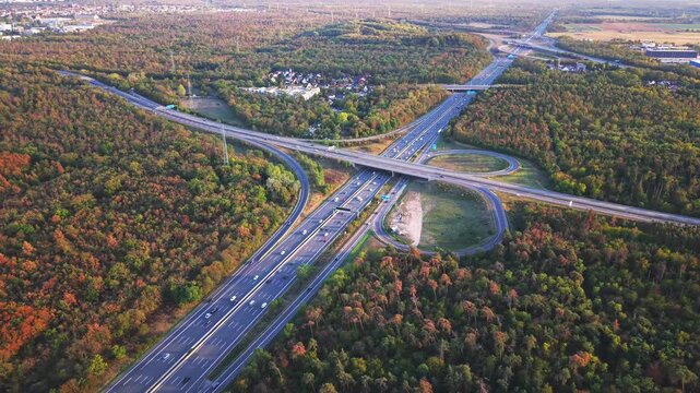 Aerial view of multilane highway interchange with flowing cars moving through cloverleaf loop ramps beside mixed forest during autumn afternoon and overpasses in golden light
