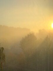 Fototapeta premium View of the city from a window on a foggy autumn morning at sunrise
