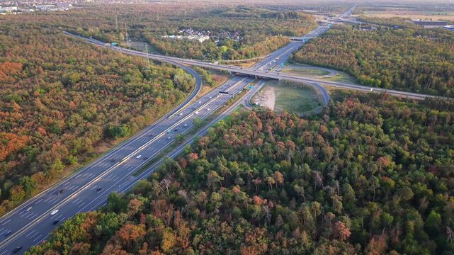 Overhead view of multilane highway interchange with cars and trucks turning through curved loop ramps in autumn forest at golden hour