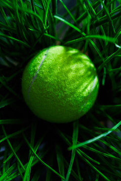 Tennis ball in grass.