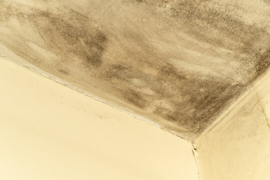 Closeup of a damaged white wall with mould