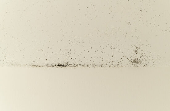 Closeup of a damaged white wall with mould