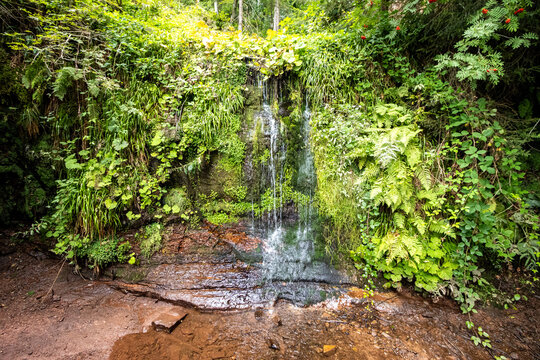 Das obere Auffangbecken am Sankenbachwasserfall