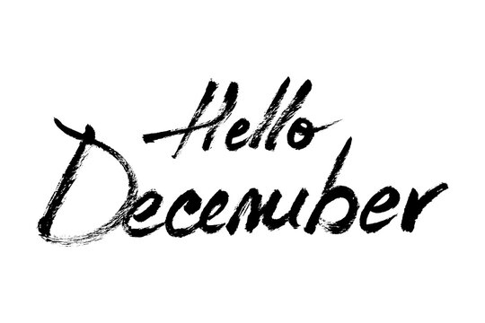 Hello December Hand Drawn Brush Lettering Text. Rough grunge phrase. Vector Xmas holidays quote ink painted calligraphy. Handwritten Christmas greetings message. Winter seasonal ink typography