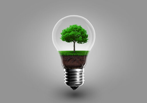Ecology Concept. Ecology Concept. Small green tree inside a light bulb, conceptual image of green, sustainable energy and ecology ideas.
