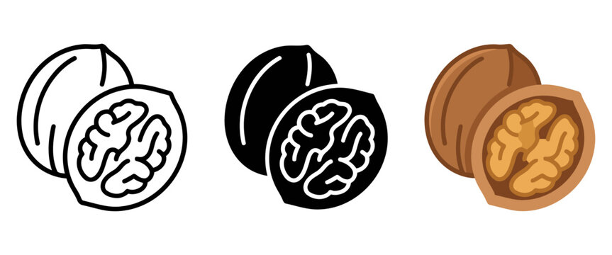 Walnut icon set in outline, glyph, and colored vector style, whole and cracked walnut kernel graphic for food design