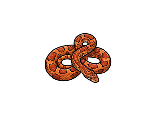 Obraz premium Orange Patterned Corn Snake Coiled With Head Extending Forward Detailed Bold Outline