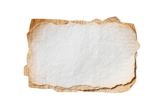 Torn textured paper sheets with burnt edges, isolated on transparent background