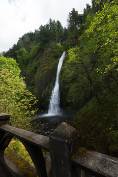 View of Horsetail Falls cascading down a mossy cliff surrounded by lush green forest and viewed from a stone bridge in Hood River, Oregon, United States.