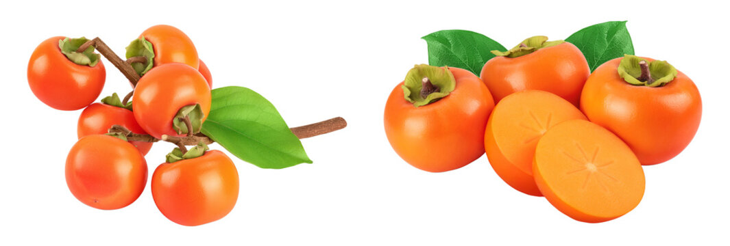 Persimmon fruit on the branch isolated on white background with full depth of field