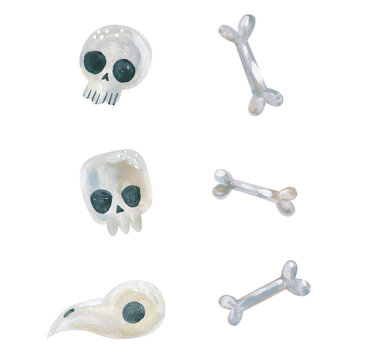 Watercolor prehistoric skulls and bones collection, ancient dinosaur fossils, bird skull and skeleton elements isolated on white background for halloween and science design