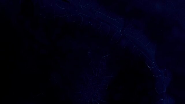 Real time ultraviolet light microscopy of collagen and urea mixture crystallization displaying neon blue fluorescent web structures and crack patterns over dark organic background science concept
