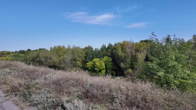 Slope with dry grass and dense forest area