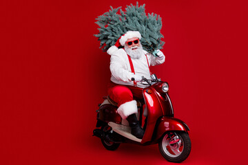 Obraz premium Santa Claus riding a red scooter carrying a Christmas tree and waving in sunglasses on a bright festive red background