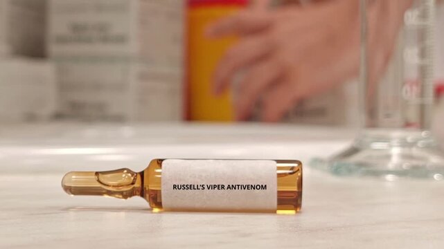RUSSELL'S VIPER ANTIVENOM injectable antivenom used under medical supervision for Russell's viper envenomation