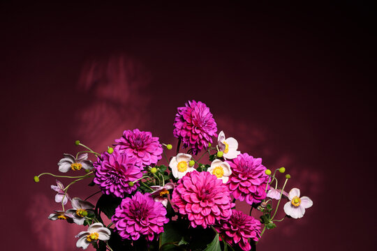 Bouquet of beautiful purple dahlia flowers