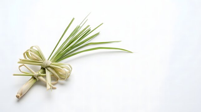 Fresh green lemongrass stalks tied with a leaf knot on a clean white background.