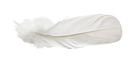 Delicate white feather with fluffy downy base, isolated on transparent background © Martina