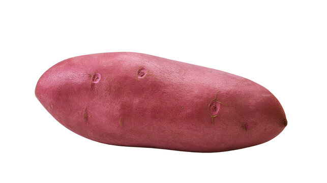 Single ripe red sweet potato with visible eyes, isolated on transparent background