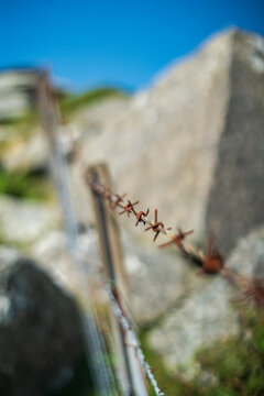 View of the Cheesewring rock formation in the background behind a strand of rusty barbed wire in the landscape of Minions, Cornwall, United Kingdom.