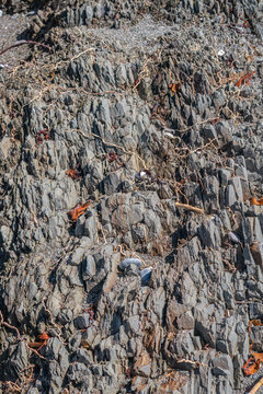 View of the rugged rock formations along the South West Coastal Path near Portnadler Bay, featuring layered slate textures and scattered seaweed in Looe, Cornwall, United Kingdom.