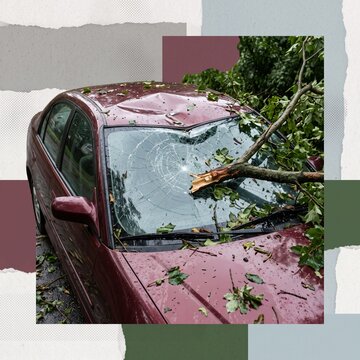 Storm-damaged car with cracked windshield, dented roof and fallen tree branch after severe weather, vehicle damage and insurance claim assessment concept