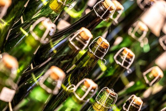 self-bottled Prosecco bottles in the wine cellar