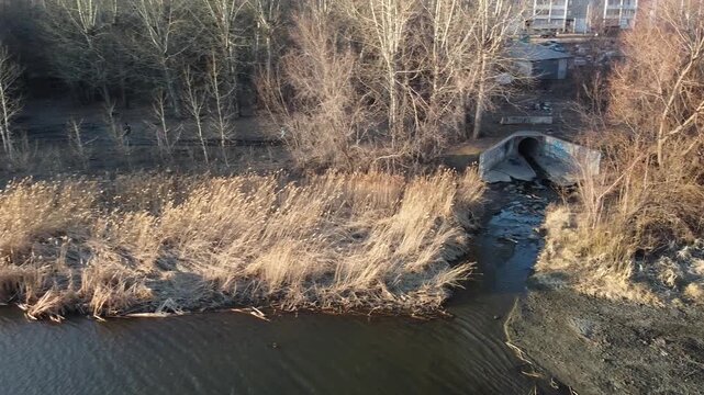 River flows through leafless trees in winter. Concrete culvert beneath dry reeds and tangled branches. Sunlight glints off calm water near urban backdrop. No people present, quiet and cold