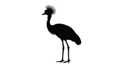 Obraz premium Grey crowned crane silhouette against a white background