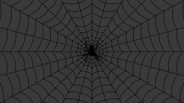 Black spider crawling down symmetrical web on dark background