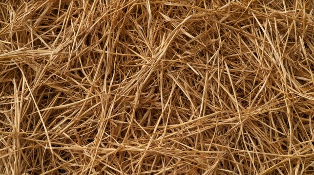 Close-up of dry golden hay and straw texture background