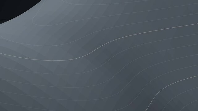 Abstract Dark Grey Topographic Contour Lines Moving Over Digital 3D Terrain