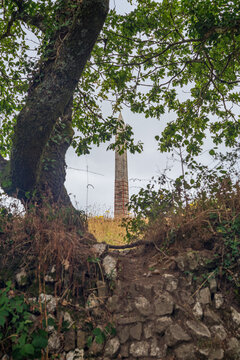 View of the Bodmin Beacon obelisk monument framed by tree branches and a stone wall in Bodmin, Cornwall, United Kingdom.