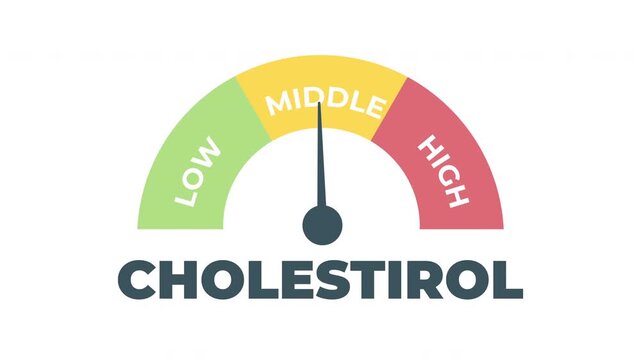 Cholesterol level meter animation showing blood cholesterol measurement, health monitoring and cardiovascular risk concept.