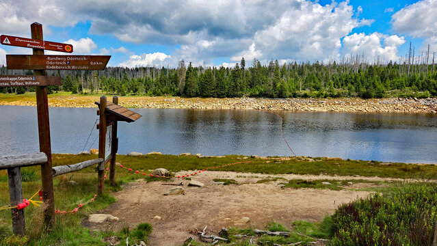 Harz Wanderwegweiser am Oderteich
