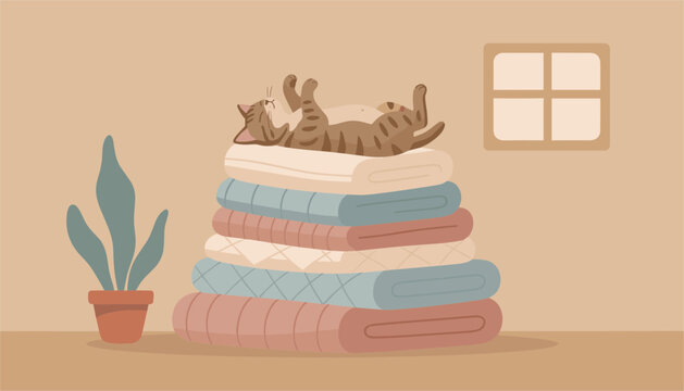 Adorable tabby cat sleeping peacefully on top of a tall stack of folded blankets in a cozy home interior with a plant and window.