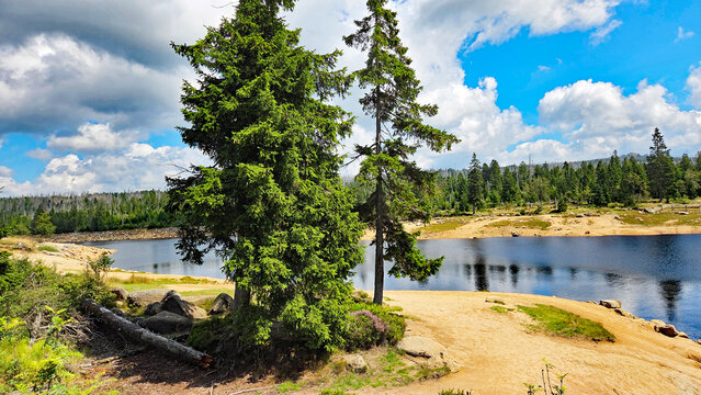 Oderteich Ufer im Harz