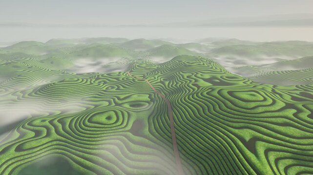 Tea Plantation Contour Rows Aerial Drone Morning Seamless Loop