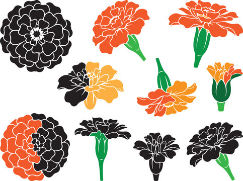 Marigold flower vector set with orange and black floral silhouettes