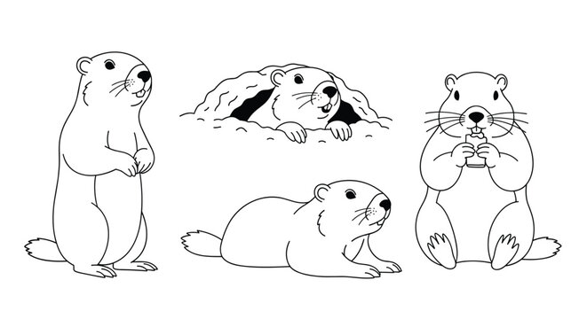Cute groundhog outline sketches showing various activities like eating, resting and peeking out of a cozy hole.