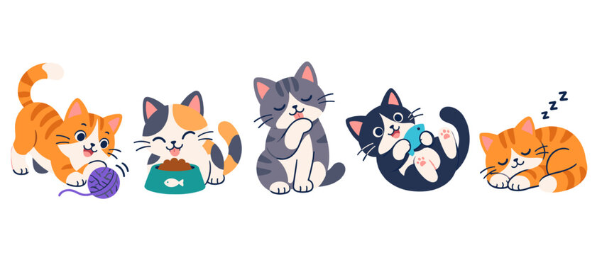 Set of cats playing eating grooming and sleeping
