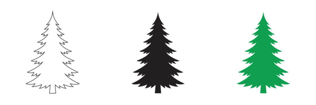 Set of three pine trees outline, black silhouette, and green vector graphic