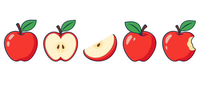 Red apple set with whole fruit slices and a bitten apple