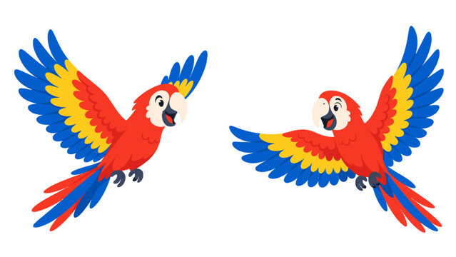 Colorful macaws flying toward each other with wings spread