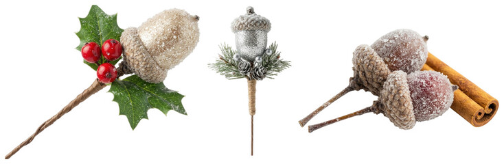 An elegant collection of frosted acorn picks with pine sprigs, cinnamon, and winter berries for holiday crafting. © z_to_the_top